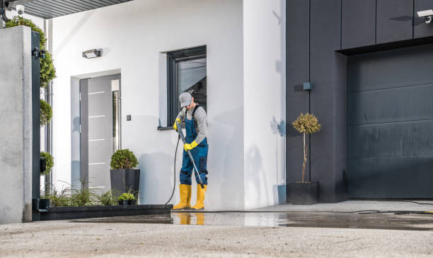Best Solar Panel Cleaning  in Las Lomas, TX