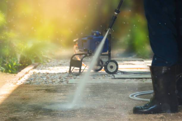 Best Sidewalk and Walkway Cleaning  in Las Lomas, TX